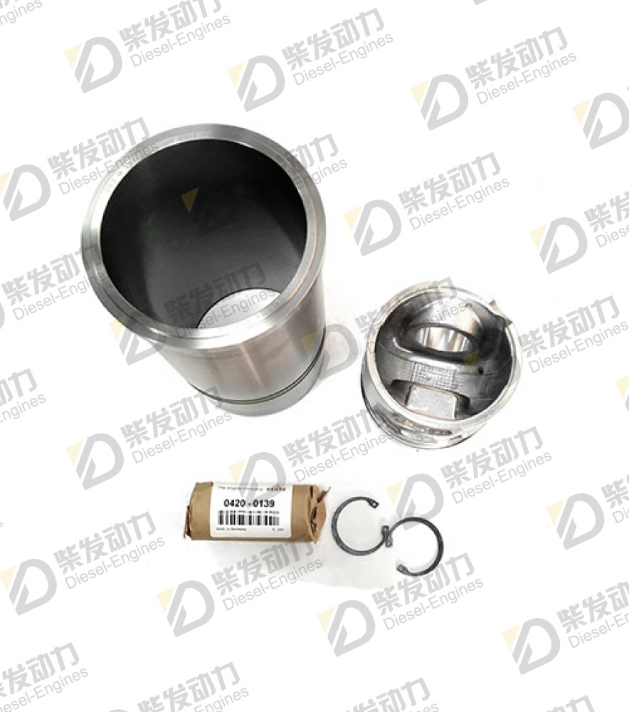 Cylinder liner kit 20865990 